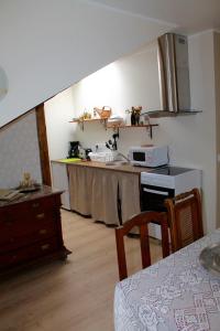 Köök või kööginurk majutusasutuses Austri Villa