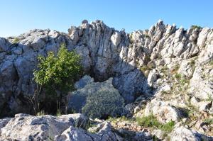 Fotografie z fotogalerie ubytování Camping Alberg Municipal Tivissa v destinaci Tivissa + 51 fotografií