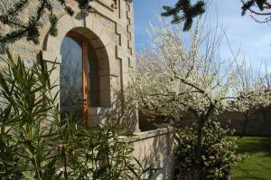 Zahrada ubytování Casa Rural Reposo de Afanes