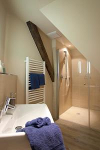 a bathroom with a shower and a sink and a shower at Fischerwiege am Passader See in Passade