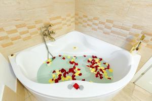 Photo de la galerie de l'établissement Pensiunea Avy, à Haţeg