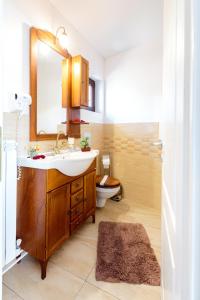 Photo de la galerie de l'établissement Pensiunea Avy, à Haţeg