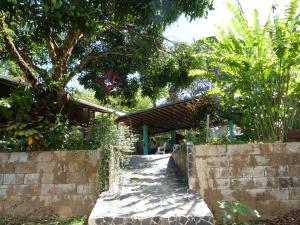 a walkway leading to a house with a tree at Mariposa Drake in Drake