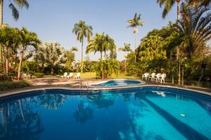 a swimming pool with chairs and palm trees at Hotel Posada Loma in Fortín de las Flores