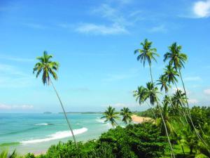 a view of a beach with palm trees and the ocean at Villa No1 in Bentota