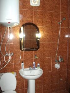 uma casa de banho com um lavatório, um espelho e um WC. em Guesthouse Green Oasis em Gonio