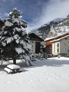 eine schneebedeckte Kiefer vor einem Gebäude in der Unterkunft Ferienwohnung Sonnmatt in Zermatt
