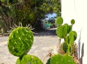 Fotografie z fotogalerie ubytování Casa vacanze Letto & Latte v destinaci Taranto