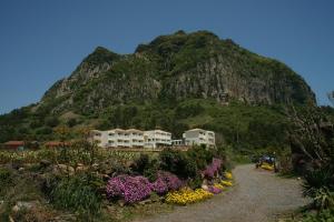 a mountain with houses and flowers on a gravel road at Jeju the Ocean Hill Pension in Seogwipo