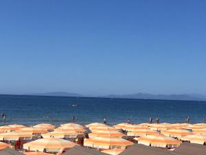 Gallery image of Hotel Lido in Follonica +31 photos