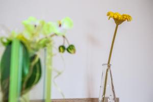 Fotografie z fotogalerie ubytování Apartment Nepomuk v destinaci Kirchberg an der Pielach