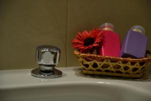 Fotografie z fotogalerie ubytování il lapino v destinaci Palermo + 46 fotografií