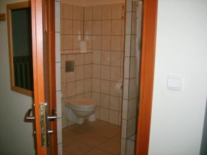mała łazienka z toaletą i prysznicem w obiekcie Pensjonat BorowaDolina w mieście Osie +17 zdjęć
