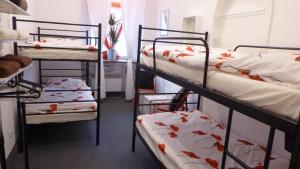 Pokój z 3 łóżkami piętrowymi z rybami w obiekcie FlyFly Hostel , darmowy parking , rezerwuj przez urządzenia mobilne -10 procent we Wrocławiu