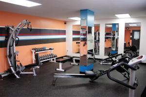 Fitness centrum a/nebo fitness zařízení v ubytování The Royal Anne Hotel