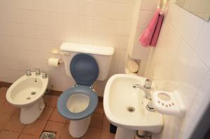 a bathroom with a blue toilet and a sink at Hostal Alamo in Cafayate