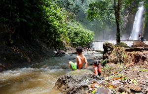 Gallery image of Melanting Cottages in Munduk +188 photos