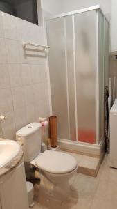 マントンにあるAppartement Le Cernuschi 2Cのバスルーム(トイレ、シャワー付)