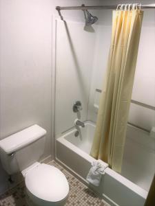 a bathroom with a toilet and a shower curtain at American Inn Kansas City, KS in Kansas City