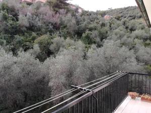 Táj az apartman közelében