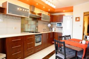Η κουζίνα ή μικρή κουζίνα στο Magnetic apartment Mehoffera