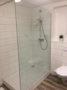 a glass shower with a toilet in a bathroom at FEWO Schwerin-Zentrum in Schwerin