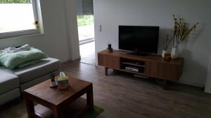 TV a/nebo společenská místnost v ubytování Ferienwohnung am Modenbach