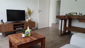 TV a/nebo společenská místnost v ubytování Ferienwohnung am Modenbach