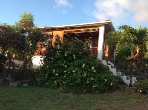 Zahrada ubytování Statia Lodge