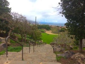 einen Steinweg, der zu einem Park mit Bäumen führt in der Unterkunft Casa Miramar in Santa Cruz de Tenerife