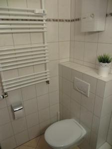 ein Badezimmer mit einem WC mit einer Pflanze darauf in der Unterkunft Ferienwohnung Glockenberg - Westphal in Altenau