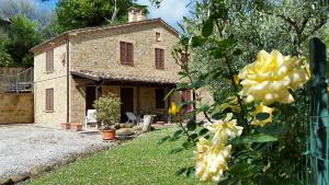 A garden outside Agriturismo Pascucci