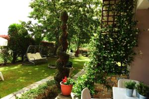 韋利卡的住宿－Garden House，藤蔓覆盖着树木的花园