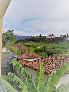 Gallery image of Feel Funchal in Funchal