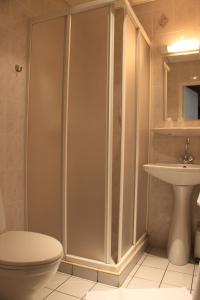 a bathroom with a shower and a toilet and a sink at Hotel Acapulco in Lourdes