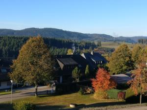 Fotografie z fotogalerie ubytování Appartement Sonnenwinkel C37 Haus Feldbergblick v destinaci Lenzkirch
