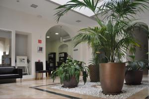eine Lobby mit zwei großen Topfpflanzen auf einem Teppich in der Unterkunft Convento Tarifa in Tarifa