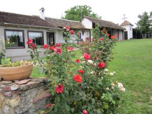 Afbeelding uit fotogalerij van Guest House Vila Albedo in Varna