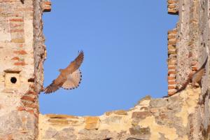 Fotografie z fotogalerie ubytování Convento Tarifa v destinaci Tarifa