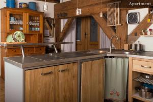 a kitchen with a sink and a counter top at "Schwarzer Speicher" Stralsund in Stralsund +48 photos