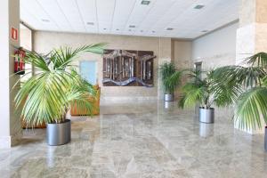 Fotografie z fotogalerie ubytování Apartamentos Lido v destinaci Benidorm