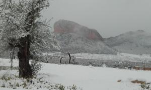 Foto dalla galleria di El Palomar de Peñarrubia a Peñarrubia