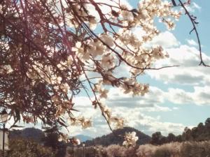 Foto dalla galleria di El Palomar de Peñarrubia a Peñarrubia
