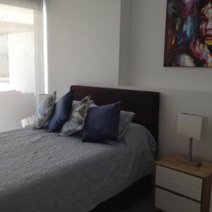 聖瑪爾塔的住宿－Apartamento Bello Horizonte，一间卧室配有一张带蓝色枕头的床和一幅画