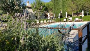 a swimming pool in a garden with chairs and flowers at I Terzieri Country House in Ferentillo