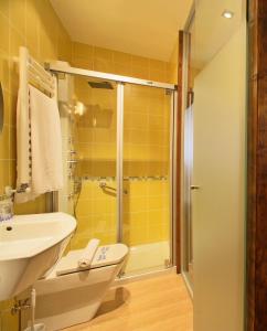 
a bathroom with a sink, toilet and shower at Hotel Rural Besaro - Selva de Irati in Izalzu
