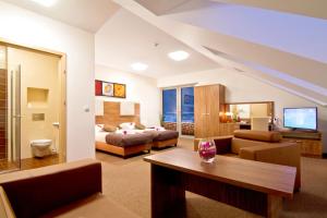 TV a/nebo společenská místnost v ubytování Dolina Leśnicy SKI & SPA Resort