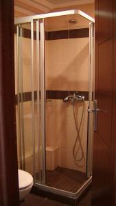 a shower in a bathroom with a toilet at Ameris Studios & Apartments in Neos Marmaras +80 photos