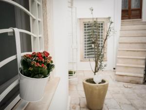 a potted plant sitting on a window sill at Gnostre Holidays in Noci