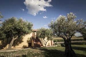 a house with olive trees in front of it at Agriturismo Il Giriatello in Crotone